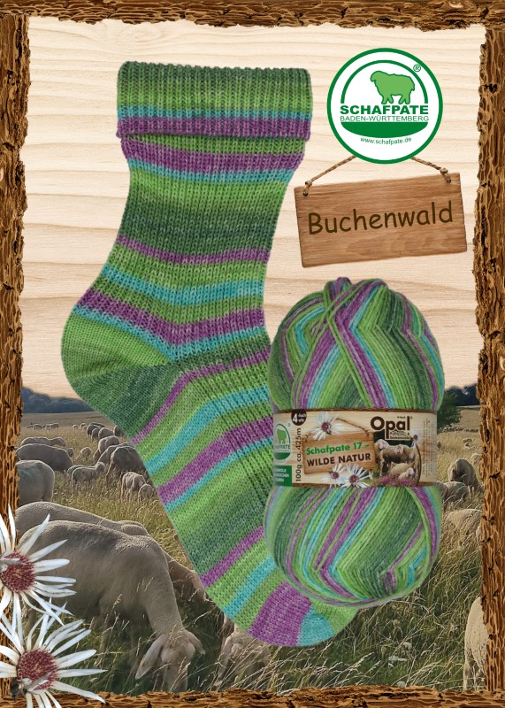 9820-9827 Opal Schafpate 17 Wilde Natur - 11592 Buchenwald