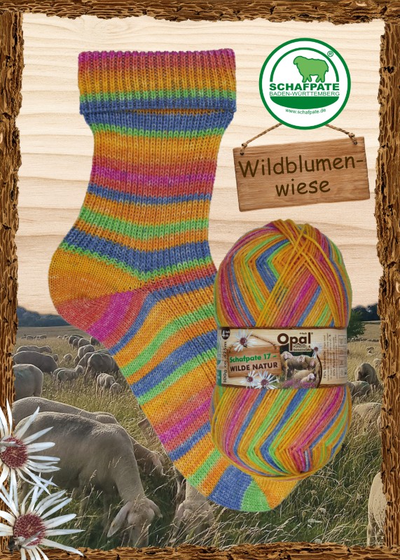 9820-9827 Opal Schafpate 17 Wilde Natur - 11597 Wildblumenwiese