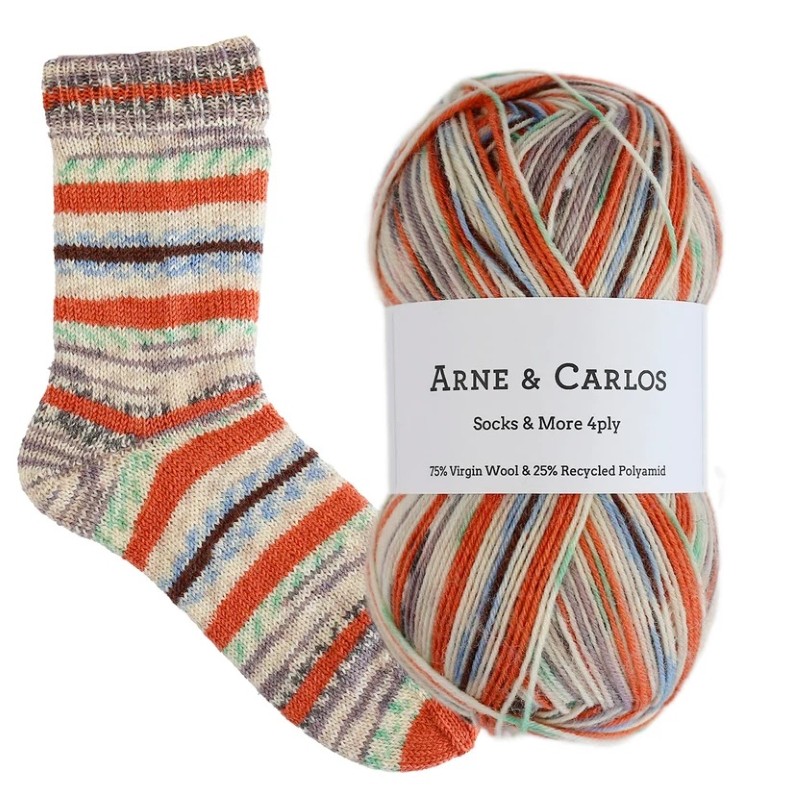 Arne & Carlos - The Painted Room Sock Yarn - 3006 - The last brushstroke